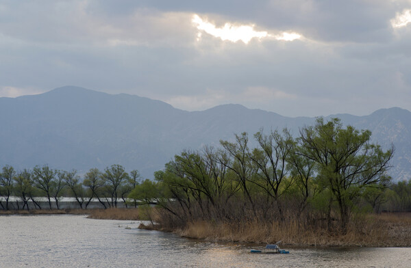 北京稻香湖春天风景