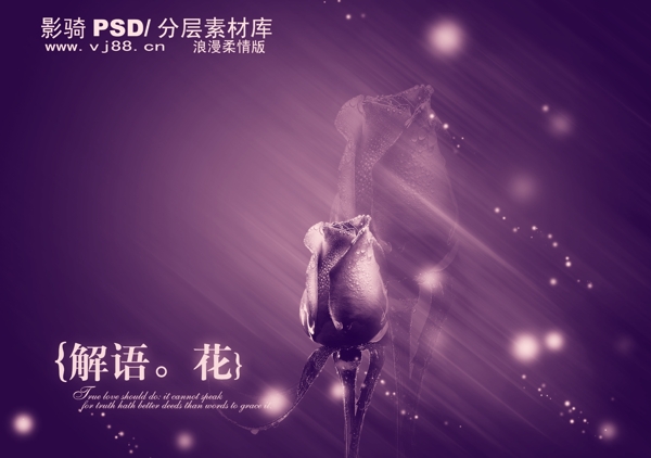 PSD分层源文件浪漫柔情版紫色紫玫瑰星光