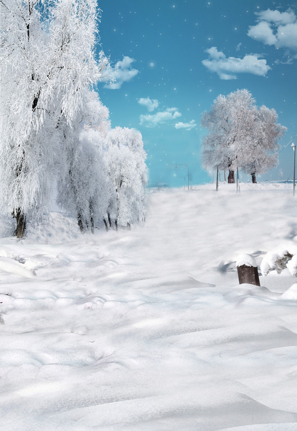 皑皑白雪与雾凇影楼摄影背景图片