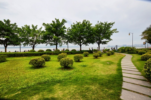 深圳湾海滨生态公园