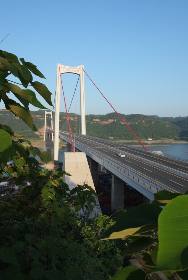 南溪长江大桥图片