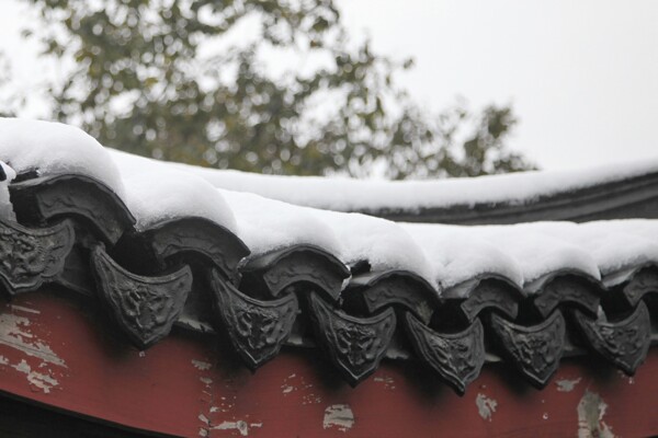 杭州雪景