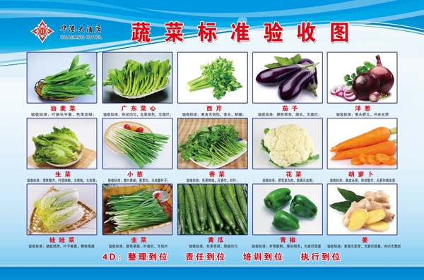 华港蔬菜标准验收图