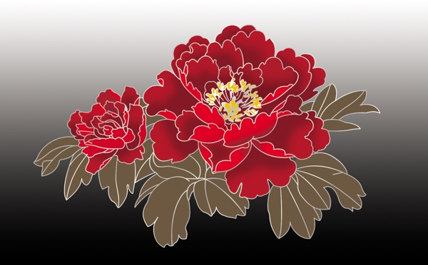 红牡丹花花瓣全部分层图片