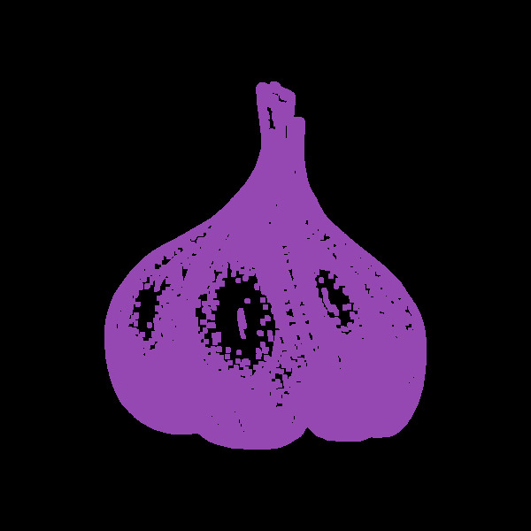 手绘紫色大蒜透明蔬菜