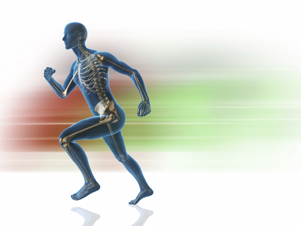 奔跑时的男性骨骼示意图片
