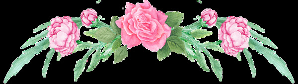 粉色系花卉透明装饰素材