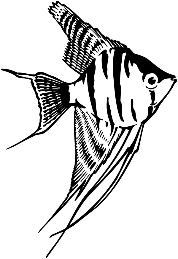 鱼水中动物矢量素材eps格式0066