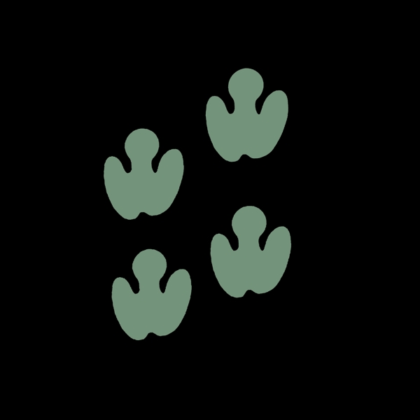 绿色小动物的脚印