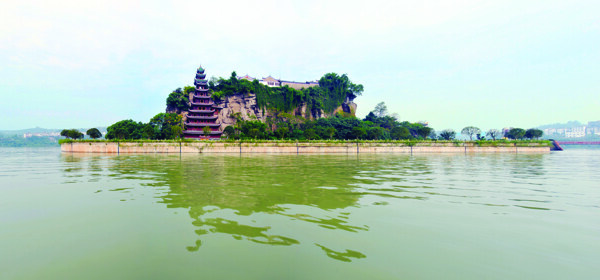 江上盆景图片