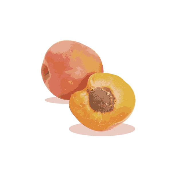 杏子矢量水果夏天必备素材