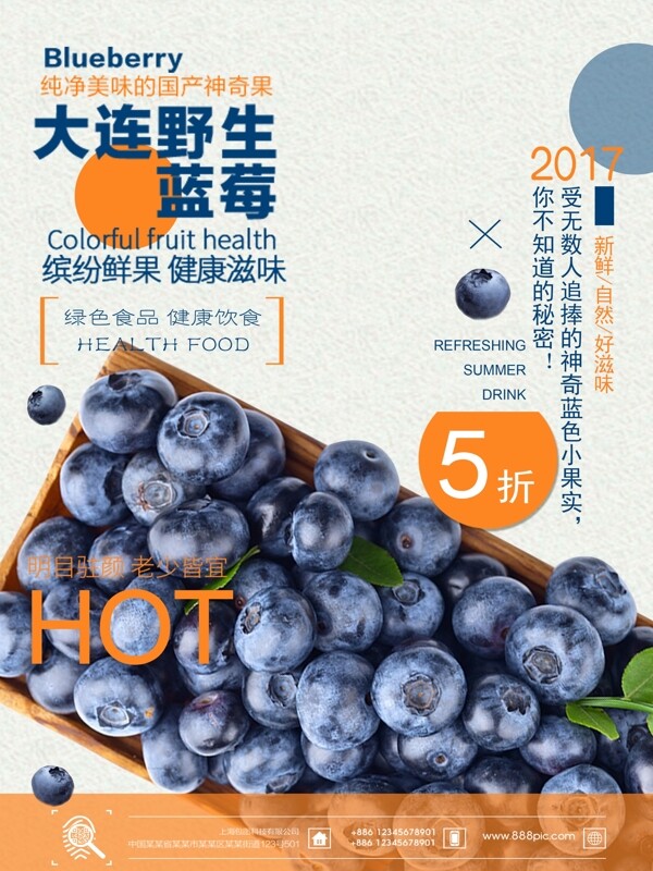 夏日水果蓝莓蓝色清新简约商业海报设计模板