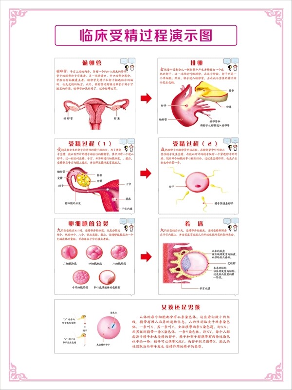 临床医疗