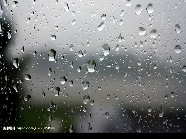 雨水玻璃图片