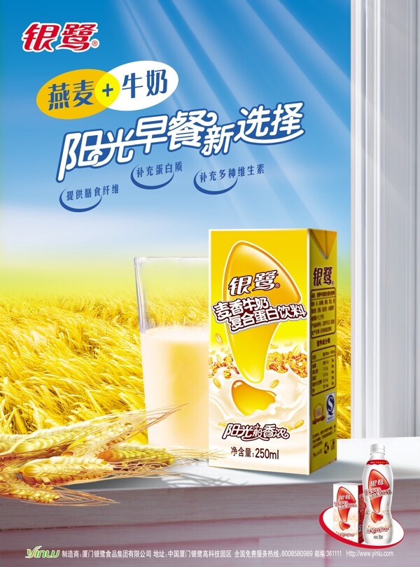 银鹭麦香牛奶09最新广告图片