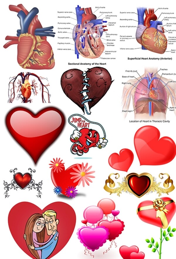 心脏素材图片