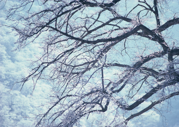 冬天雪景雪景大雪