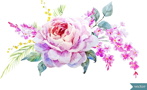 艺术水彩绘玫瑰花插画