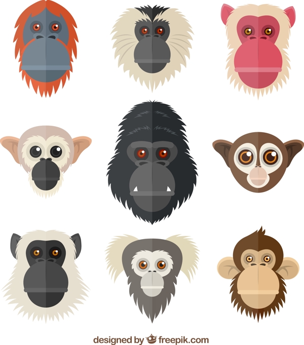 创意猴子和猩猩头像