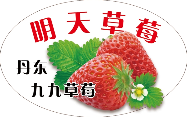 草莓不干胶标签鲜果异形