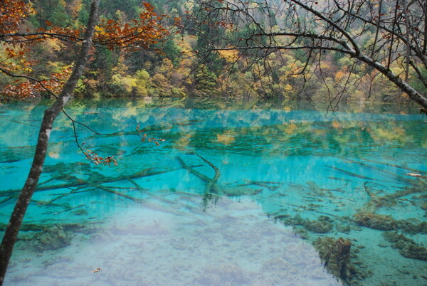 山清水秀