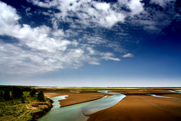 塔里木河自然景观图片
