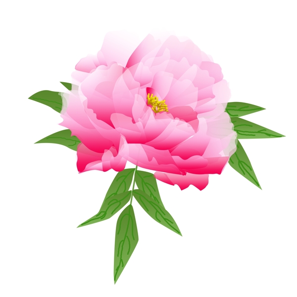 手绘粉色花卉植物古风优美牡丹元素