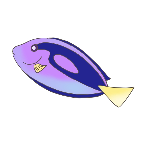 紫色图案鱼类