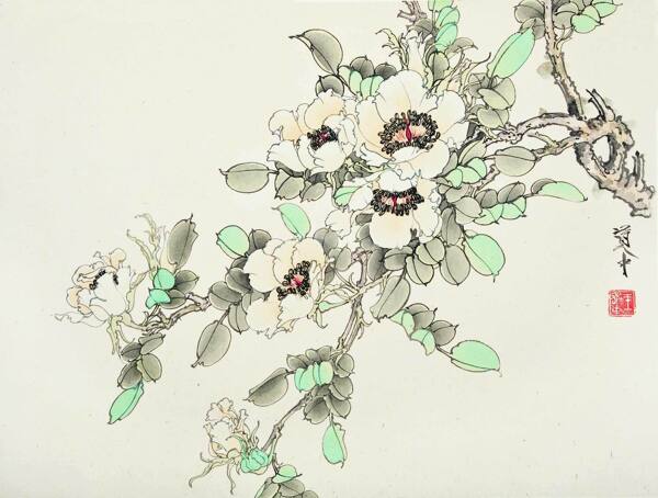 王道中国画花卉图片