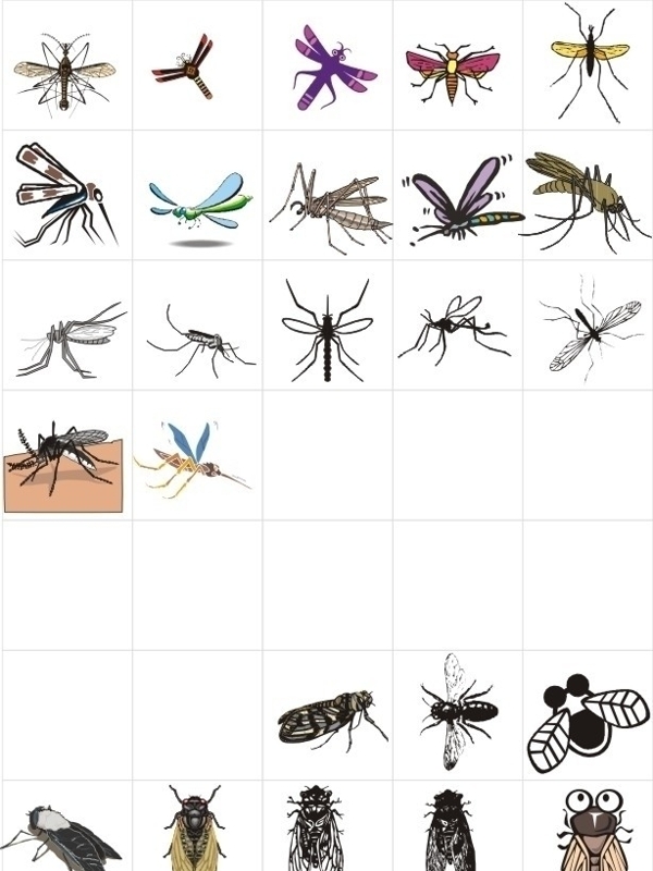 蚊子和蝉图片