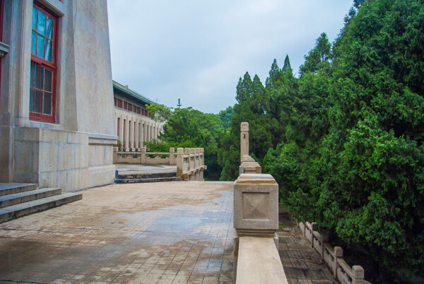 武汉大学图片