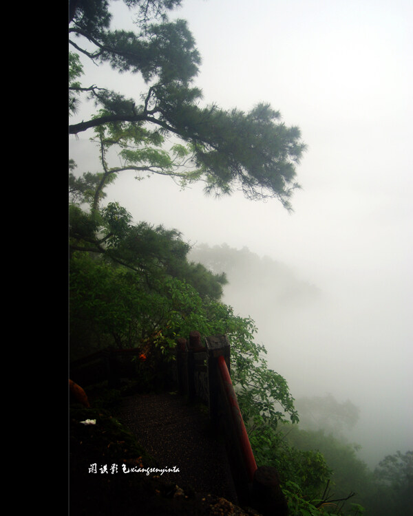 雨雾山景