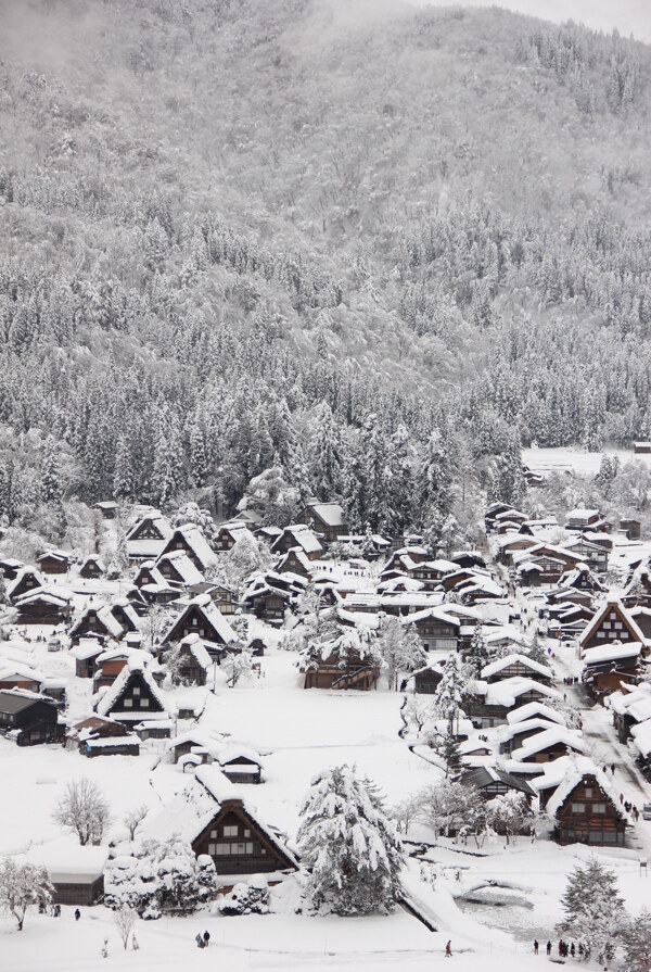 日本合掌村雪景