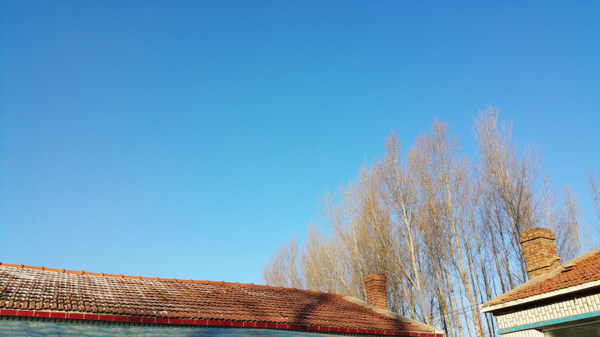 农村冬季景色蓝天