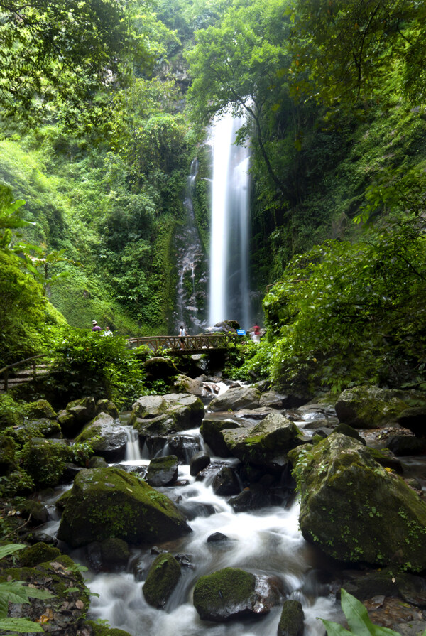 瑞丽莫里热带雨林景区