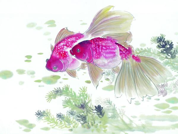 中国风水墨画鱼