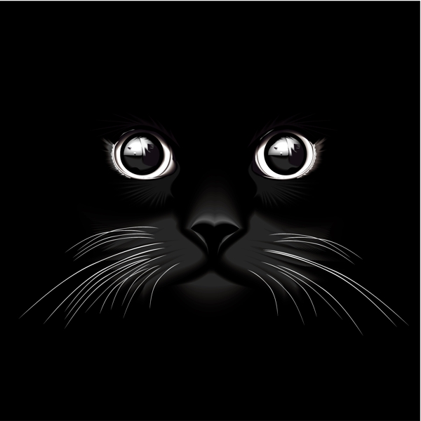 黑色的闪亮的猫的眼睛矢量插画