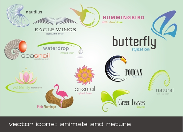 12鸟类自然生态矢量标识集