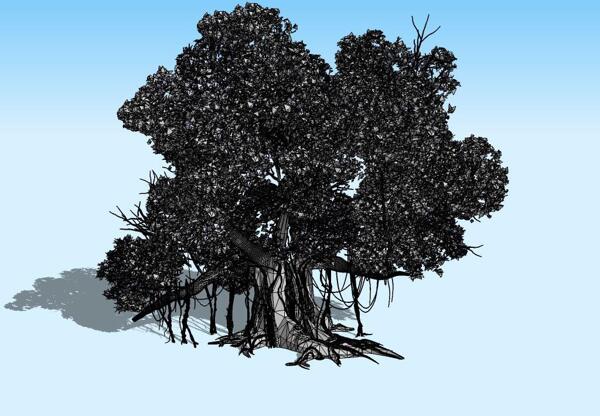 大榕树3D模型