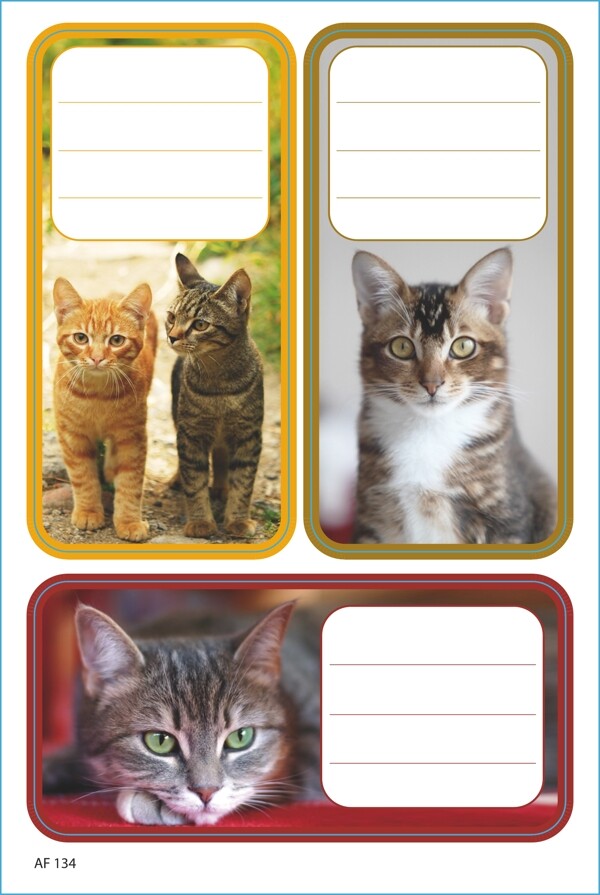 动物猫标签卡不干胶图片
