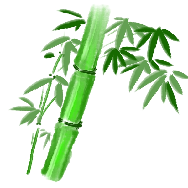 绿色的竹子手绘插画