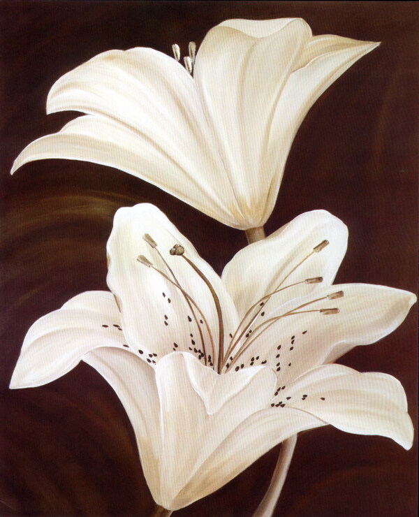 白色花朵油画