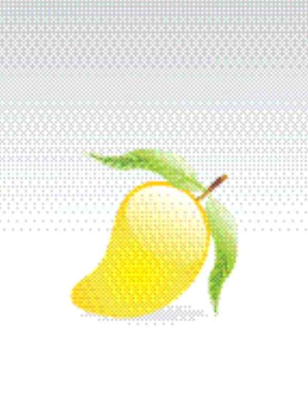 向量的芒果果实和叶片的插图