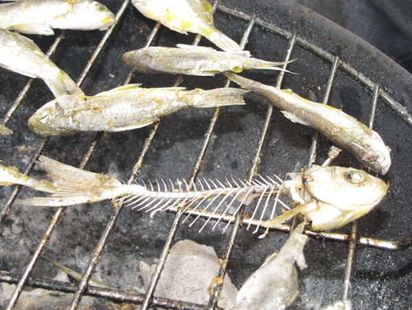 烤鱼鱼骨头野炊烤炉图片