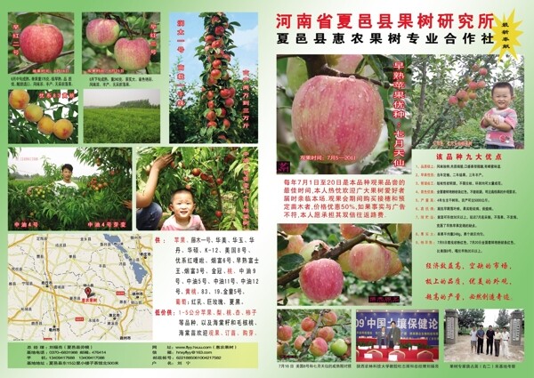 中国果树图片