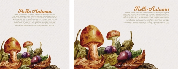 水彩画的蘑菇树叶和果实