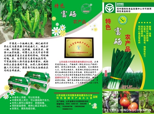 蔬菜基地宣传彩页图片