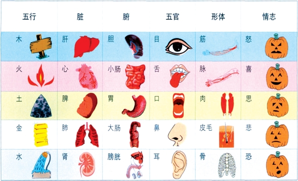 无限极名片背面图片