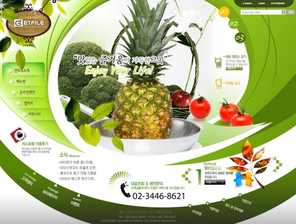 绿色水果网页psd模板