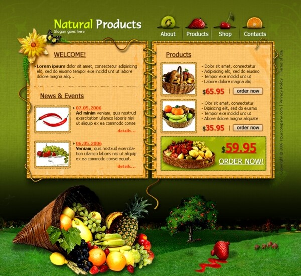 蔬菜水果销售网页设计